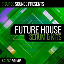VEATZ mimiiQ - Shake That Thing (Extended Mix)